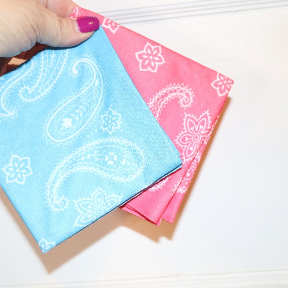 Pink and Baby Blue Bandanas (2)